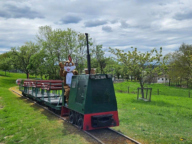 Feldbahn Serrig (2)