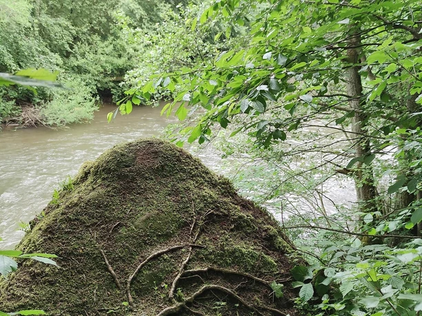 Klingelstede - Ederstede Burgwald