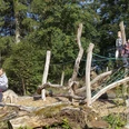 Walderlebnisparcours Kölschkier, Spinnennetz
