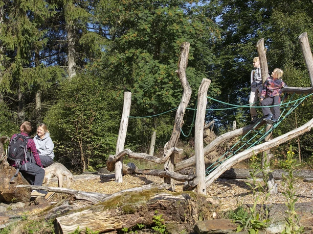 Walderlebnisparcours Kölschkier, Spinnennetz