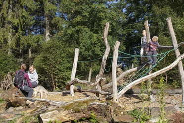 Walderlebnisparcours Kölschkier, Spinnennetz