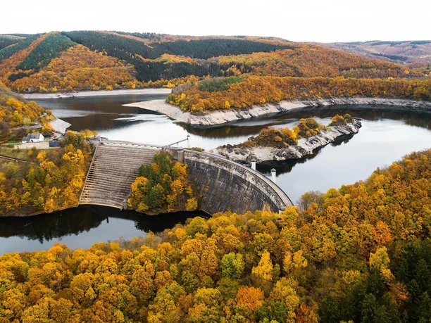 Herbst im Nationalpark Eifel, Urfttalsperre