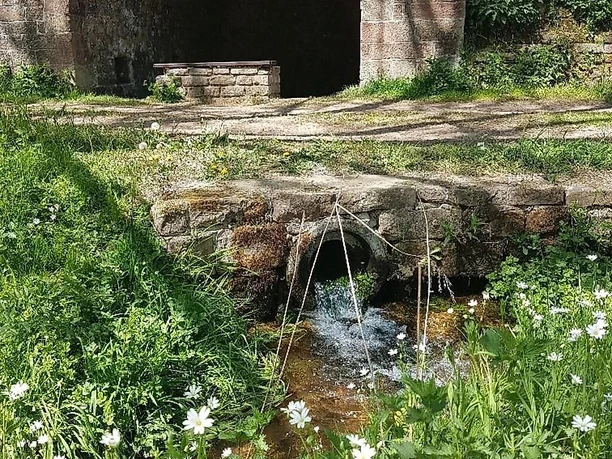 Waschhaus mit Ablauf