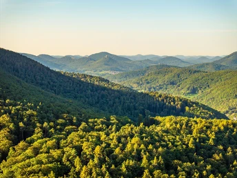 Trifelsblick von der Meistersel