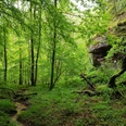 Clauser Tal beim Kuhfelsen
