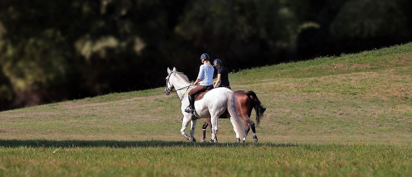 Reiten