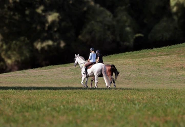 Reiten