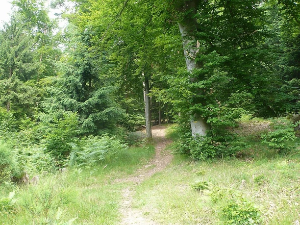 Wanderweg