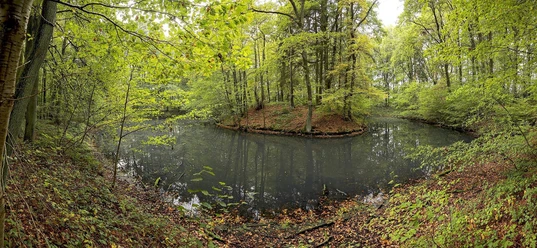 Motte Broichhausen