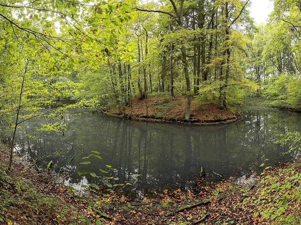 Motte Broichhausen
