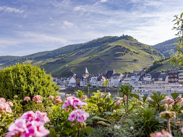 Zell