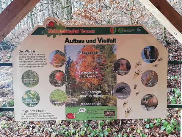 Informationspavillon Lebensraum Wald (3) Informationspavillon Lebensraum Wald (3)