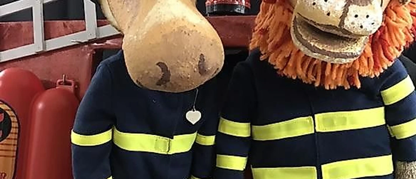 Finn der Feuerwehrelch