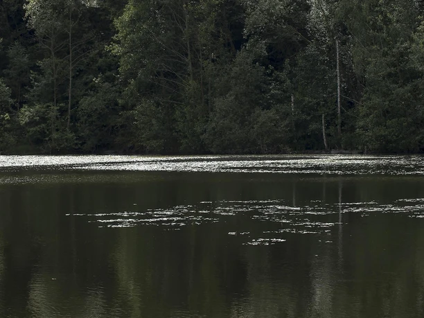 Naturschutzgebiet,Rosenheimer Lay