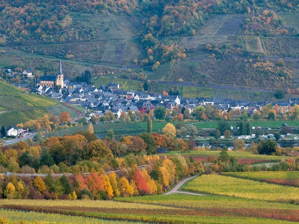 Ansicht Senheim
