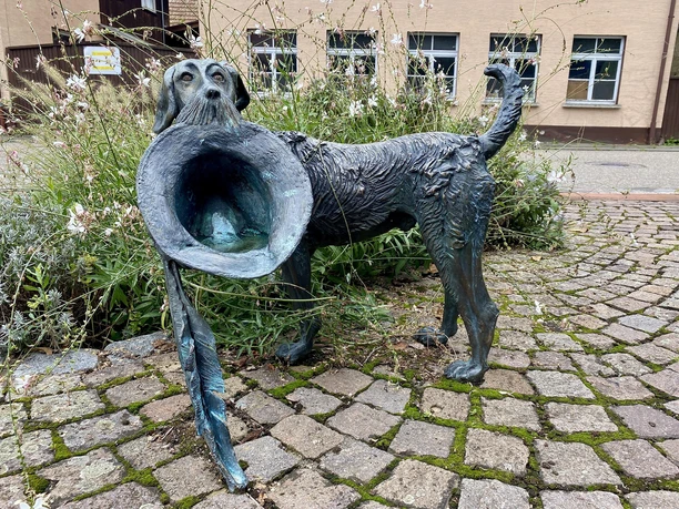 Hund des Harlekin