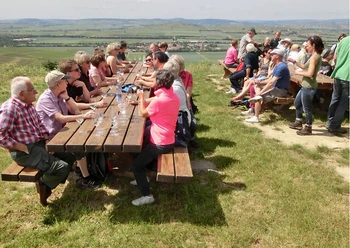 Weinwanderung