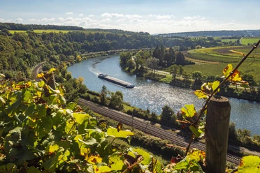Blick vom Pavillon bei Wehr über die Mosel