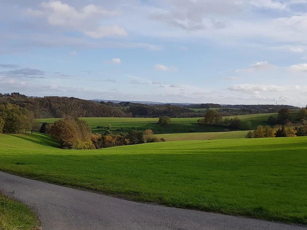 Blick vom Hümmerich