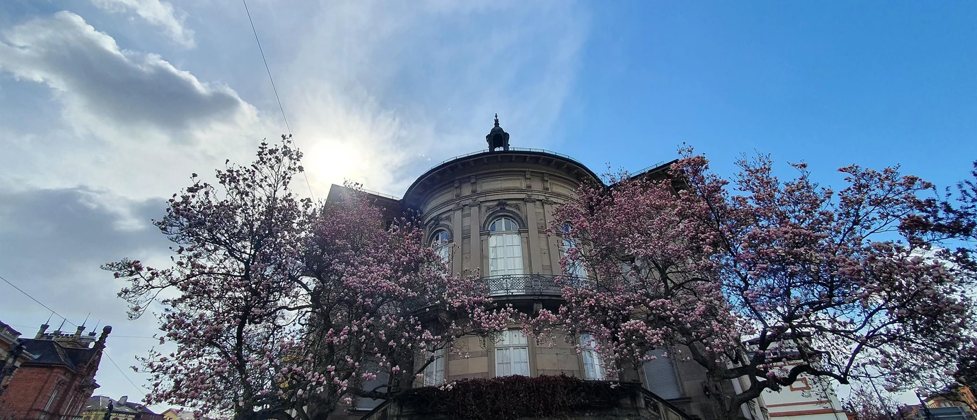 Villa Streccius