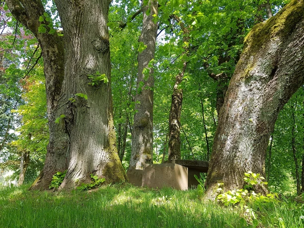 Hexenbaum Sitzgruppe