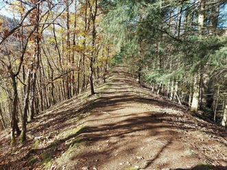 Haaks Küppsche im Herbst