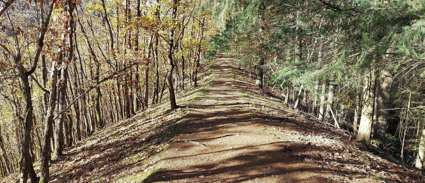 Haaks Küppsche im Herbst