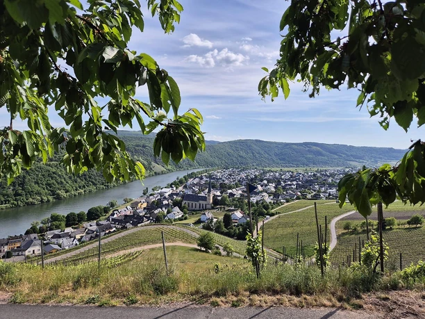 Kröv Kröv