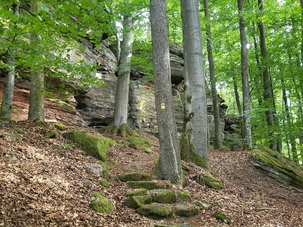 Alter Postweg an den Hubertusfelsen