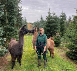Waldbaden mit Lamas und Alpakas