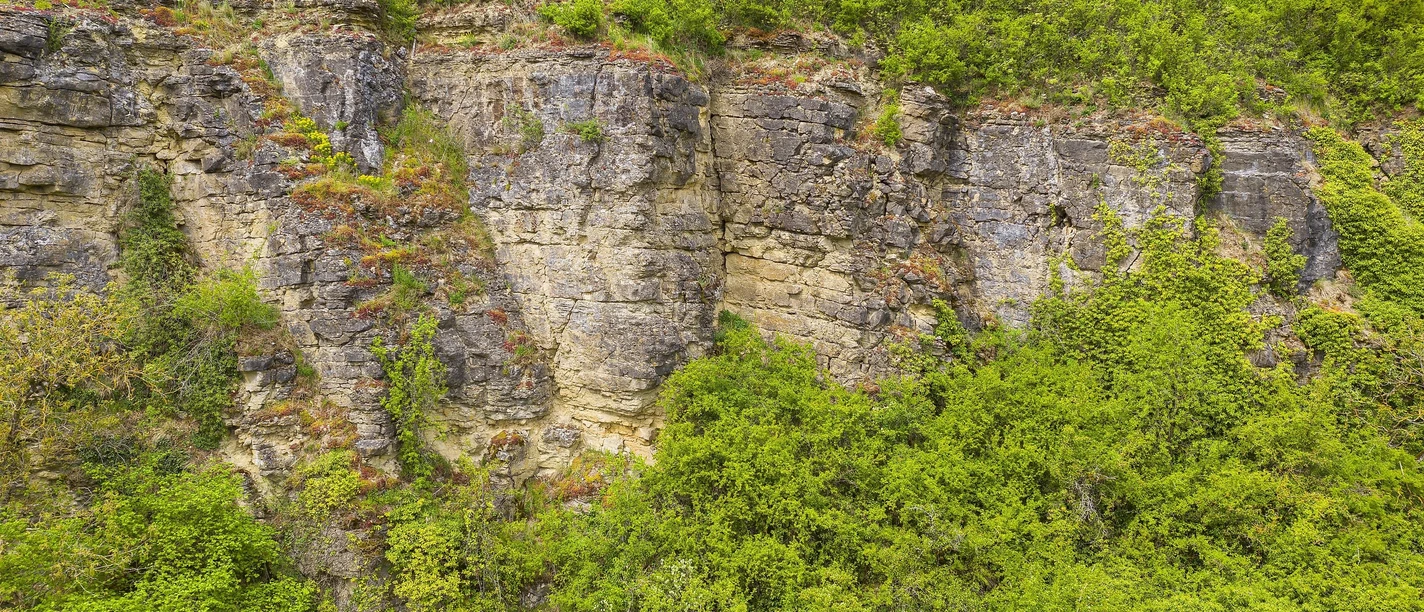 Kalkfelsen bei Nittel