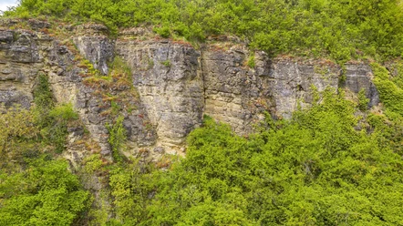 Kalkfelsen bei Nittel