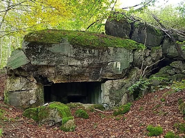 Bunker am Westwall