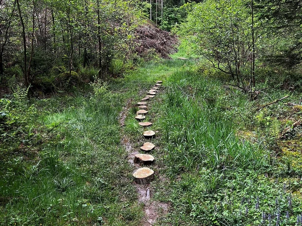 Dä hohle Wää..