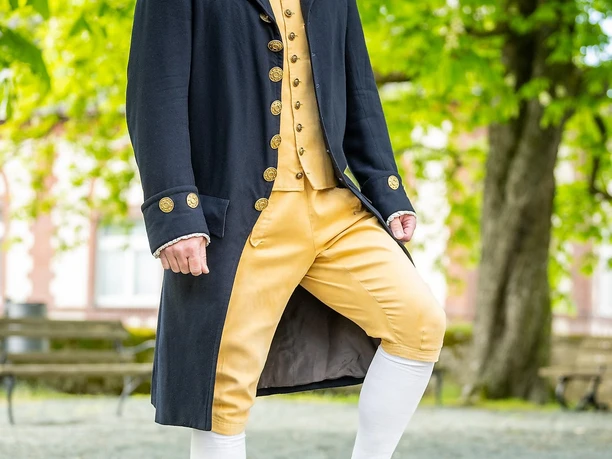Der junge Goethe