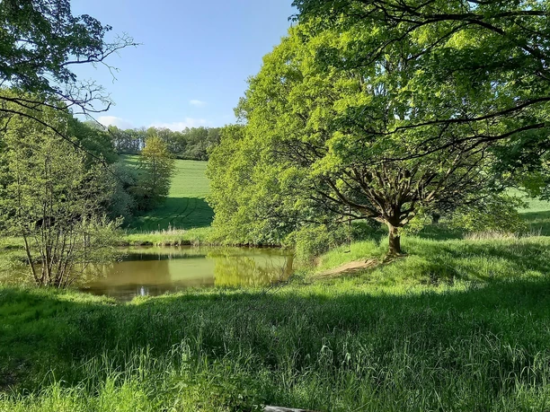 Teiche am Liesenfelder Bachtal