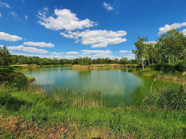 Erdekaut großer Weiher
