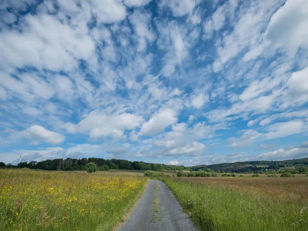 Weg durch Skulpturenpark