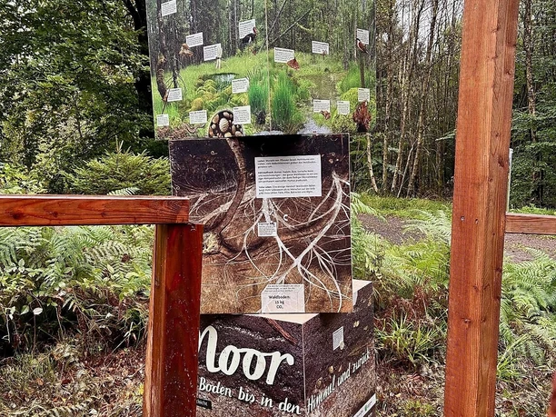 Infostele am Knüppeldamm