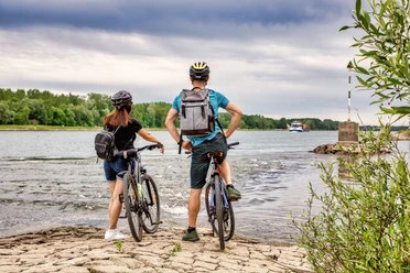Den Rhein hautnah erleben bei Neuburg am Rhein an der Lautermuschel