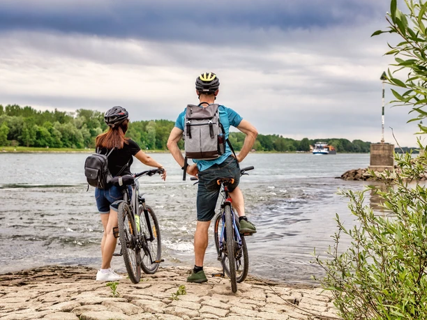 Den Rhein hautnah erleben bei Neuburg am Rhein an der Lautermuschel