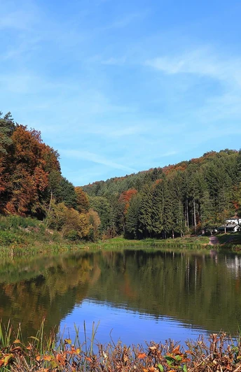 Angelweiher Trassem (1)