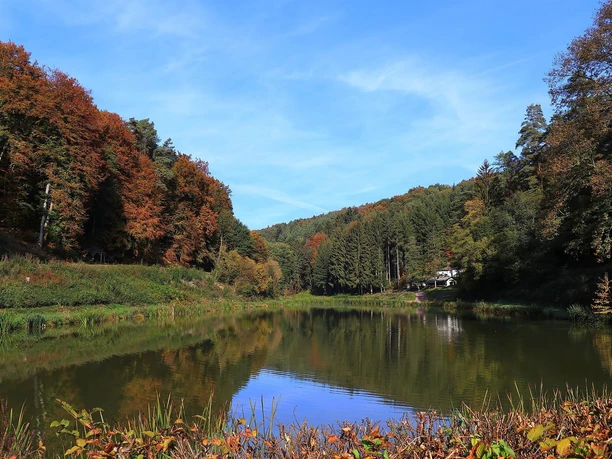 Angelweiher Trassem (1)