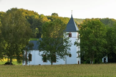 Rehlinger Kirche Fisch