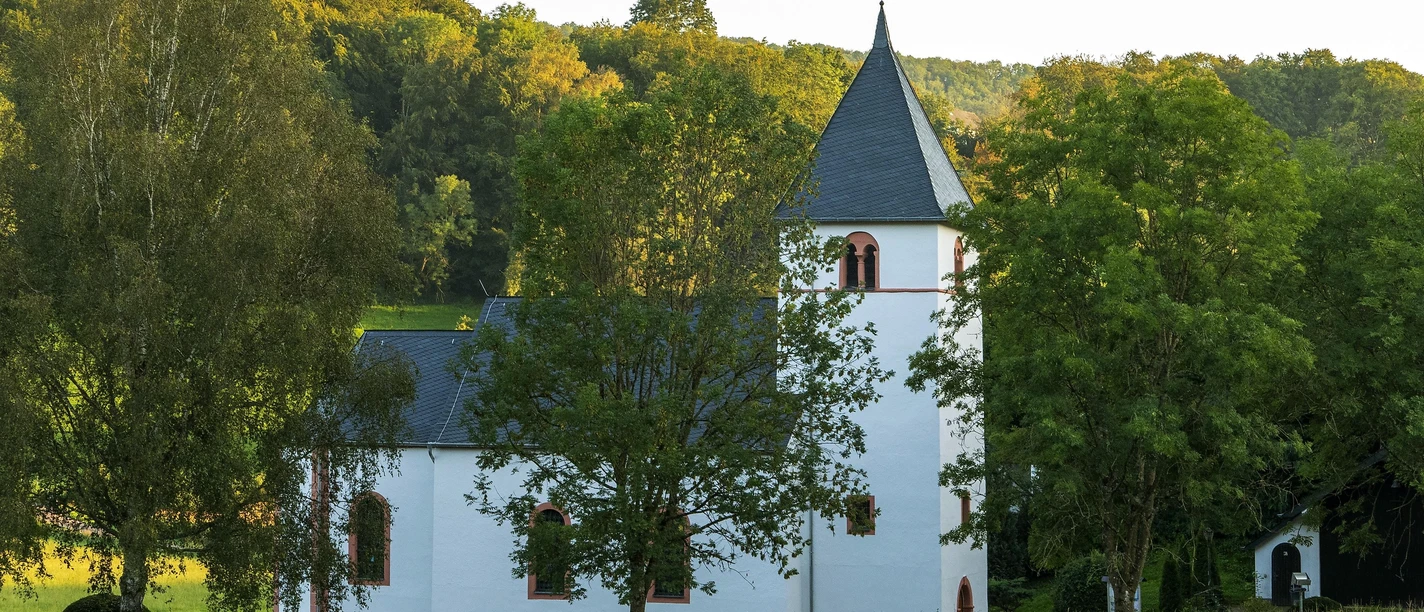 Rehlinger Kirche Fisch