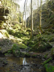 Ewigbachtal (01)