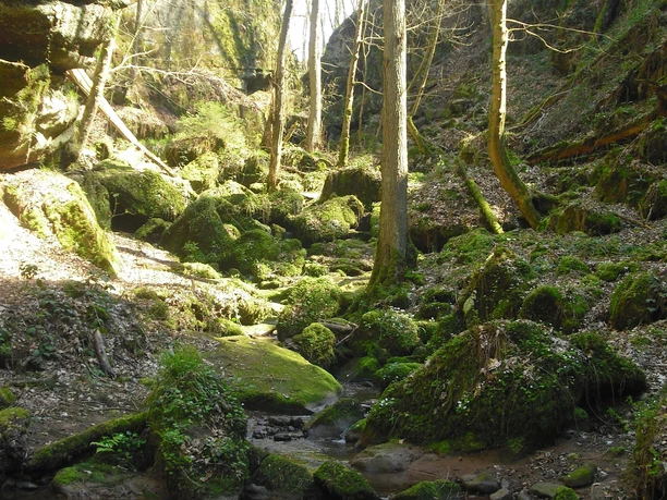 Ewigbachtal (01)