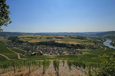 Blick auf Ockfen