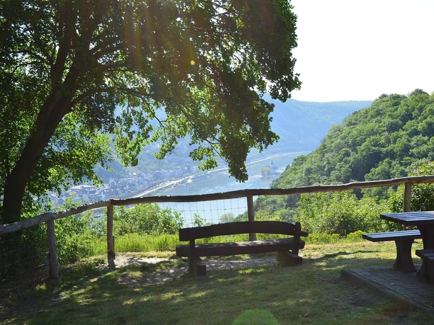 Pfalzblick 3