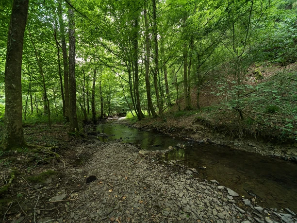 Natur pur